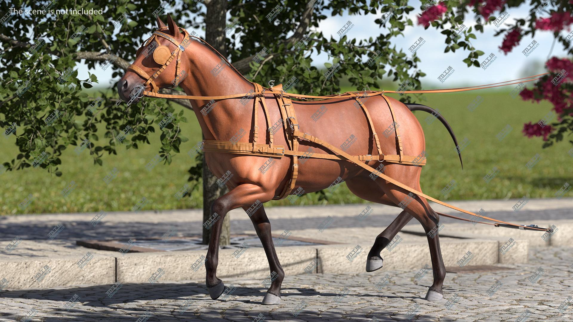 images/goods_img/202104093/3D model Horse Drawn Leather Harness Walking Pose/4.jpg